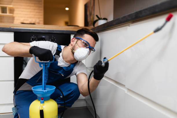 Best Residential Pest Control  in Barboursville, WV
