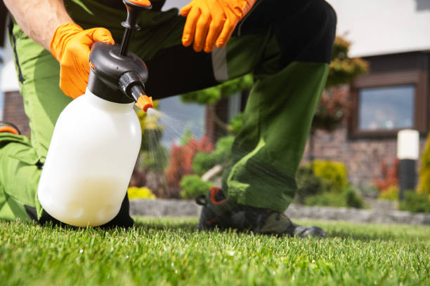 Best Emergency Pest Control  in Barboursville, WV