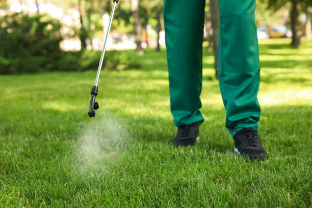 Trusted Barboursville, WV Pest Control Experts