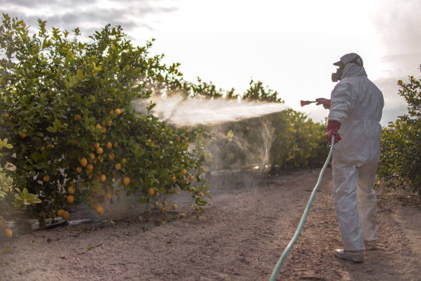 Best Local Pest Control Services  in Barboursville, WV