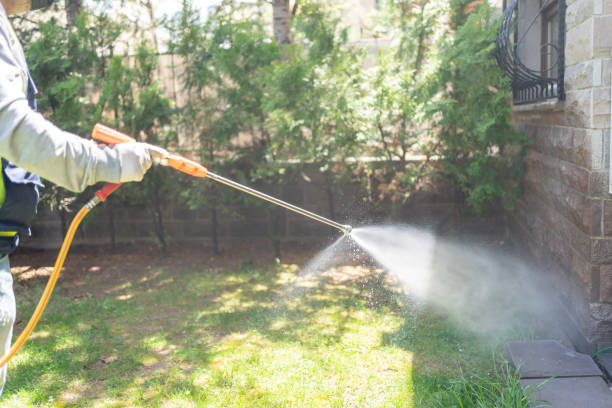 Best Flea Control Services  in Barboursville, WV