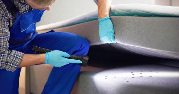 Wasp Removal Services in Barboursville, WV