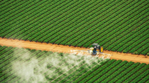 Best Pest Control for Businesses  in Barboursville, WV