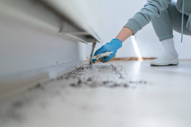 Best Commercial Pest Control Services  in Barboursville, WV